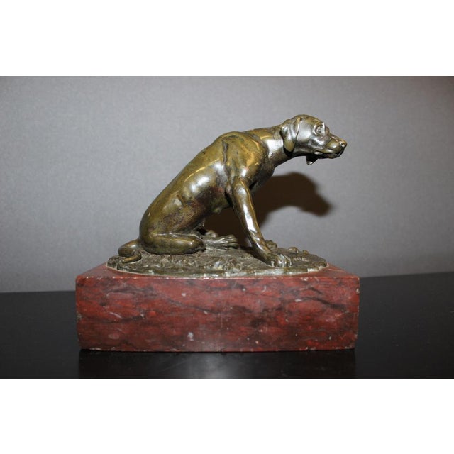 19th Century Bronze Hunting Dog Figurine For Sale - Image 13 of 14