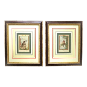 Pair of French Framed Engravings Hand Colored George-Louis Leclerc Comte De Buffon Monkeys Antique