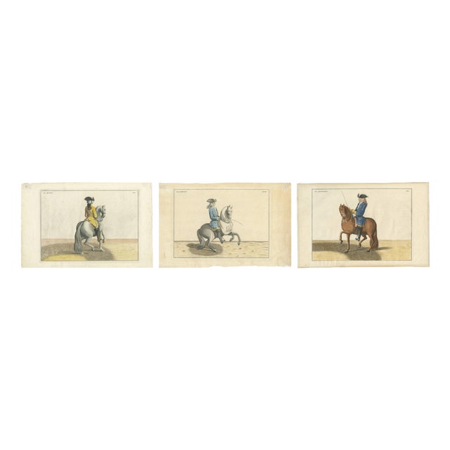 After Friedrich Wilhelm Baron d’Eisenberg, Manège Horse Plates, Le Bijoux, Le Parfait & Le Gendarme, 1727, Engravings, Set of 3 For Sale
