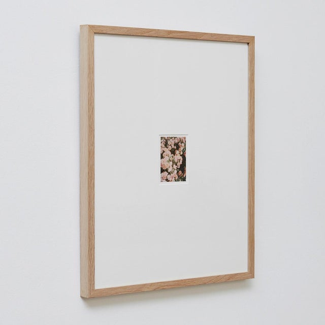 The Rose Garden Prints by David Urbano, 2018, Set of 9 For Sale - Image 10 of 18