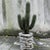 A cylindrical plant holder for using as a riser for a statue or plant holder. It's perfect to use as a "sleeve" that an...
