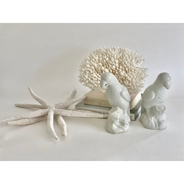 Pair of vintage porcelain Chinoiserie blanc de chine parrots. Slight variations inherent in handmade pottery. Books not...