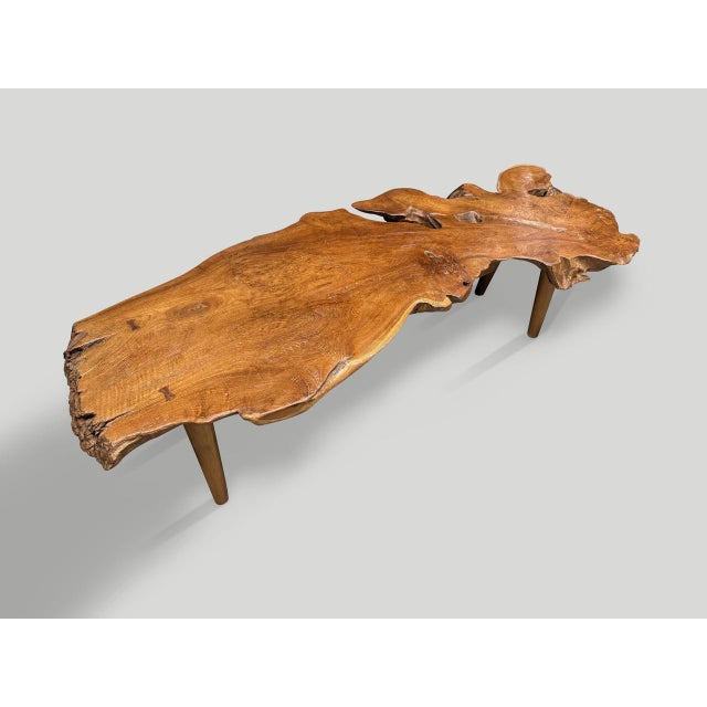 Andrianna Shamaris Sculptural Organic Teak Wood Coffee Table For Sale - Image 12 of 18
