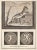 Giuseppe Aloja, Ancient Roman Fresco Herculaneum, Etching, 18th Century For Sale
