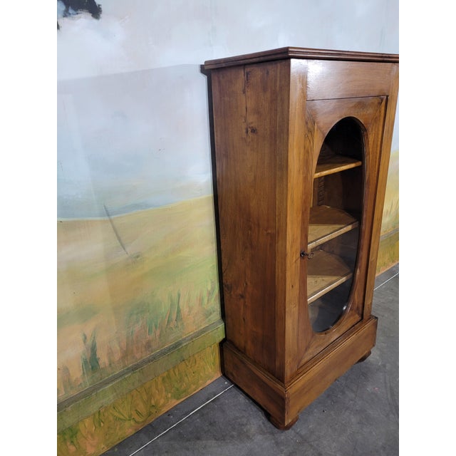 Glazed Walnut Jam Cupboard For Sale - Image 12 of 13