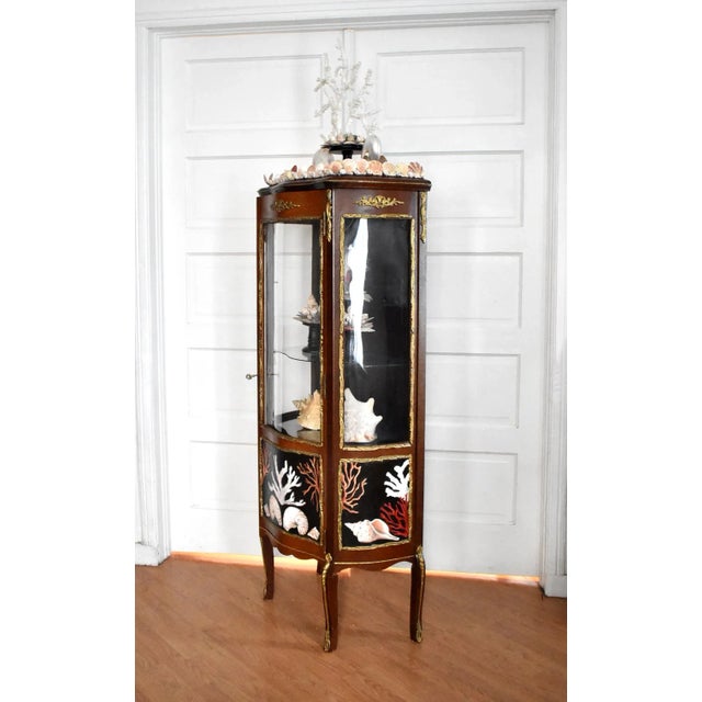 Kunstkabinett of Shells by Susannah Carson For Sale - Image 10 of 13