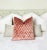 Not Yet Made - Made To Order Spiced Coral 22x22 Velvet Throw Pillow With Feather Down Insert For Sale - Image 5 of 6