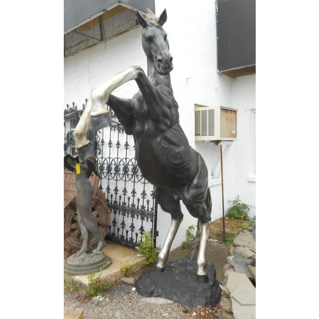 Massive Bronze Horse Statue on Its Hind Legs Chairish