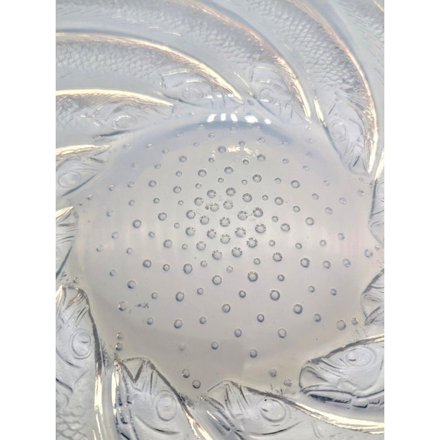 Opalescent Glass Fish No. 1 Plate from René Lalique, France, 1931 For Sale - Image 6 of 8
