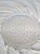 Opalescent Glass Fish No. 1 Plate from René Lalique, France, 1931 For Sale - Image 6 of 8