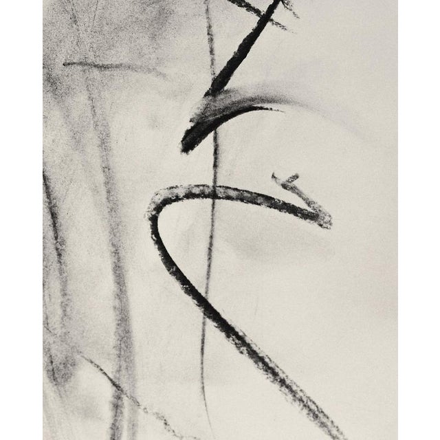 Ugne Pouwell, Lilly in Charcoal, 2023, Photography For Sale - Image 4 of 6