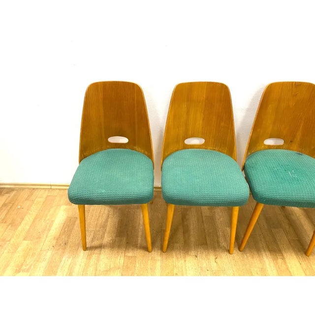 Wood Brussels Style Chairs, Czechoslovakia, 1964, Set of 4 For Sale - Image 7 of 11