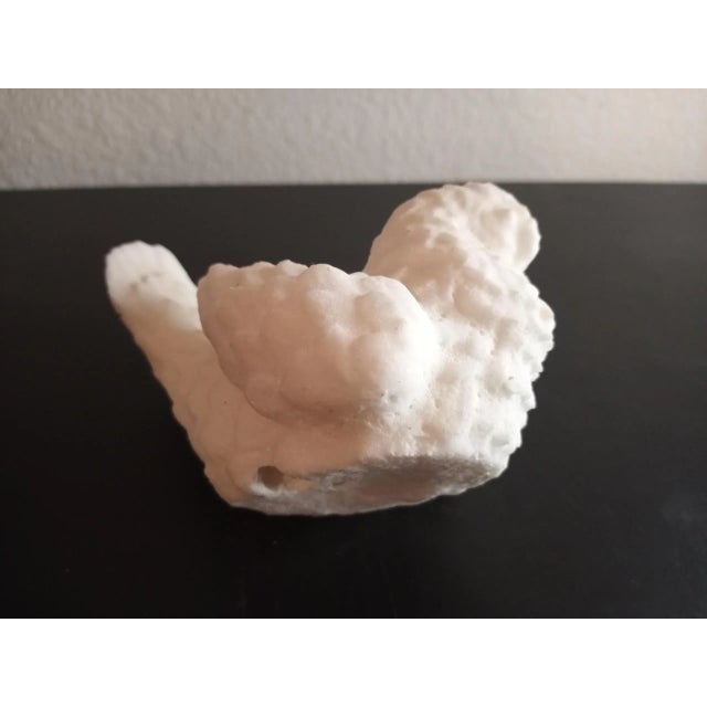 This is an Alabaster 6" Bird Figurine. Great decor. Other Alabaster figurines are sold separately. Procured at an auction.