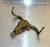 Hollywood Regency San Pacific International Large Brass Cow Head Wall Hook For Sale - Image 3 of 5