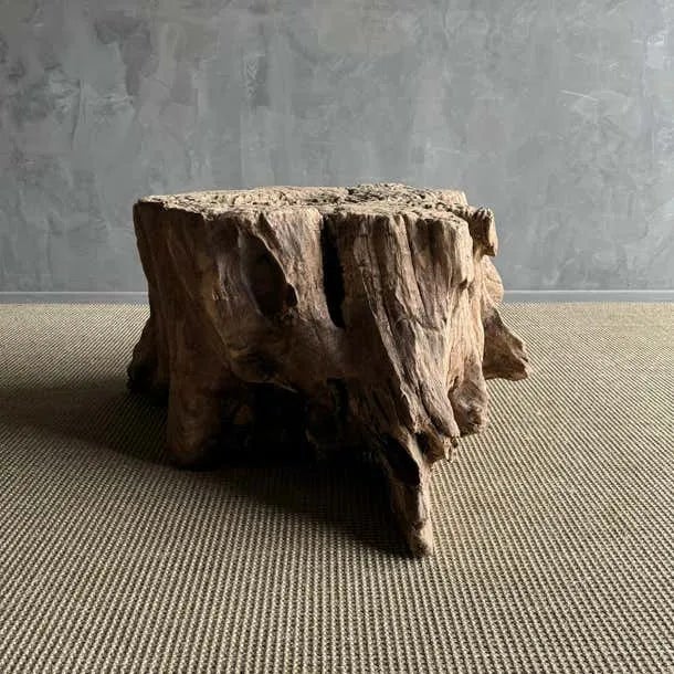 1960s 1960s Elm Wood Tree Stump Table For Sale - Image 5 of 12