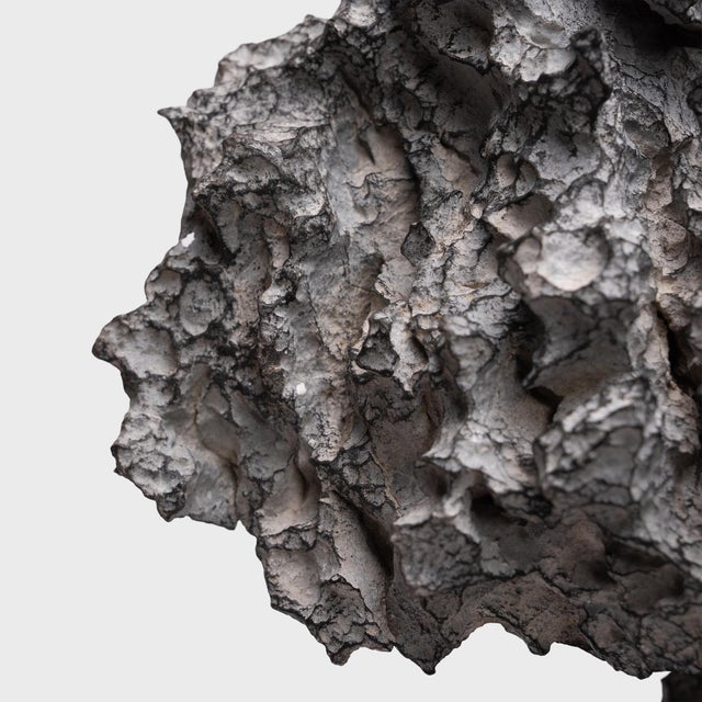 "Resting Phoenix" Lingbi Scholar's Rock For Sale - Image 4 of 5