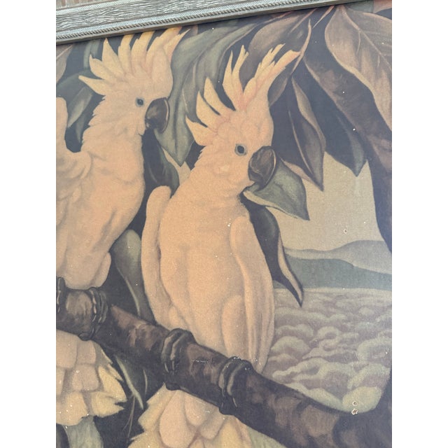 Vintage Cockatoo Print in Carved Frame For Sale In Jacksonville, FL - Image 6 of 6
