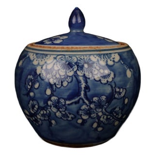 Blue and White Plum Blossom Porcelain Ginger Jar, Chinoiserie Lidded Canister For Sale
