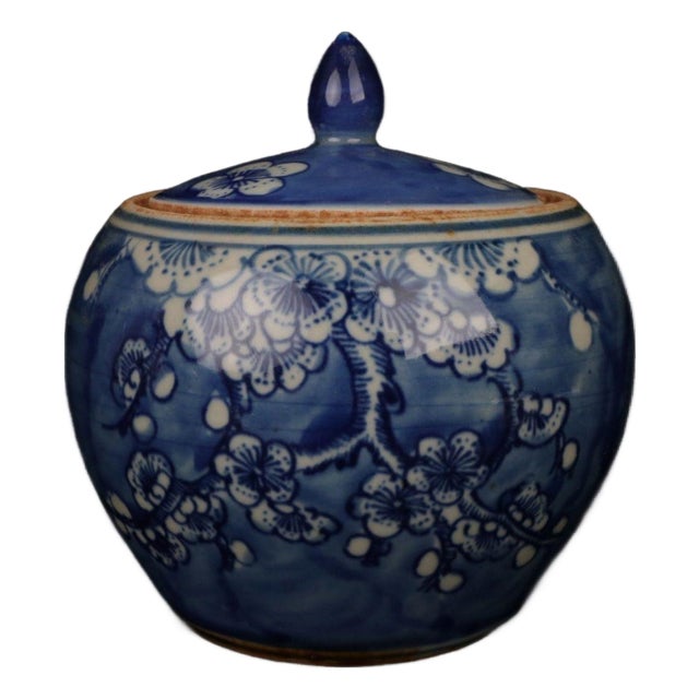 Blue and White Plum Blossom Porcelain Ginger Jar, Chinoiserie Lidded Canister For Sale