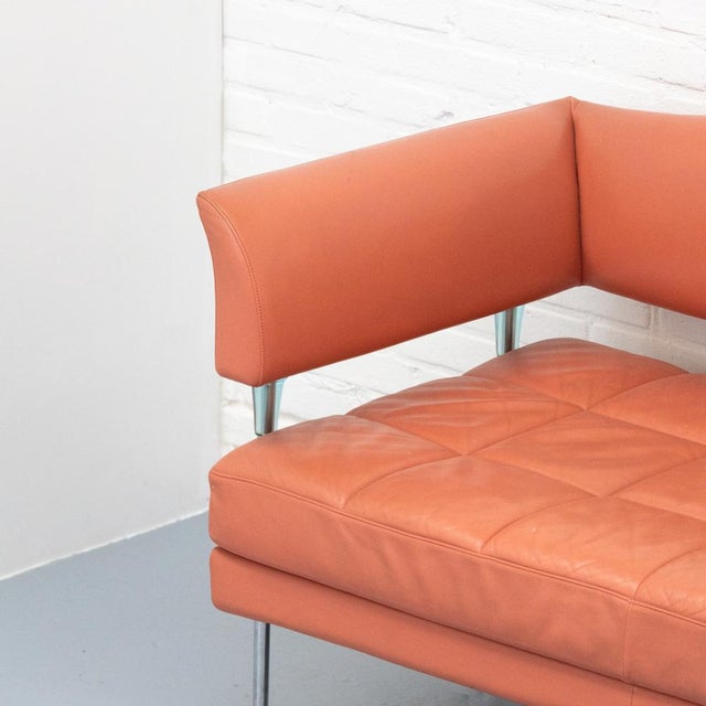 Hydra Sirius 2-Seater Sofa by Luca Scacchetti for Poltrona Frau, 1990s For Sale - Image 12 of 18