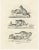 Domestic Cats, 1836, Lithograph For Sale
