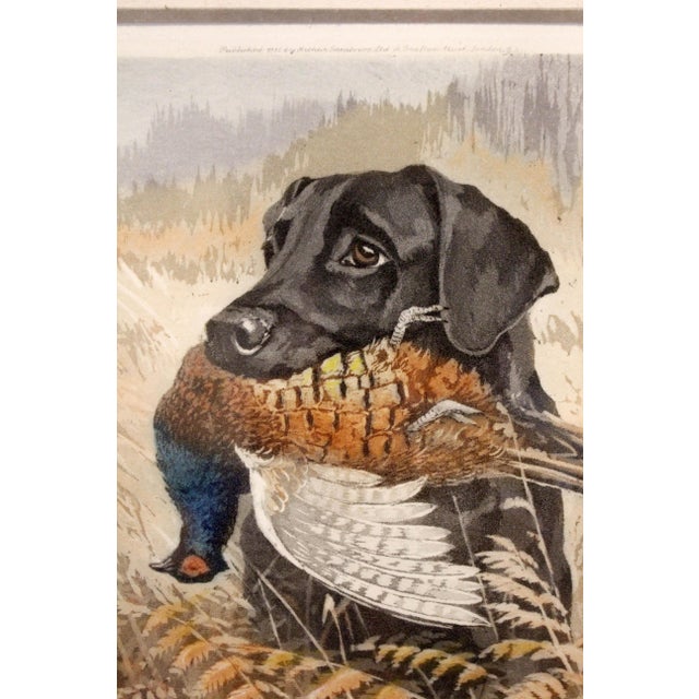 1934 English Aquatint of a Labrador With Pheasant by R. Ward Binks For Sale In Raleigh - Image 6 of 8