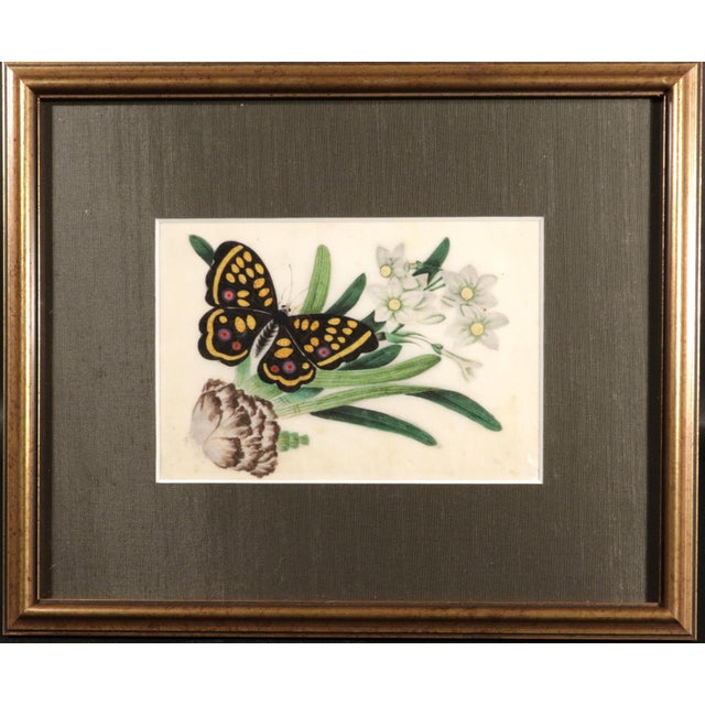 Ephemeral Beauty: Set of Six Chinese Export "Pith Paper" Paintings of Butterflies, Circa 1840–1860 A charming and cohesive...