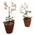 Metal Pair of Artisan Flowers For Sale - Image 7 of 12