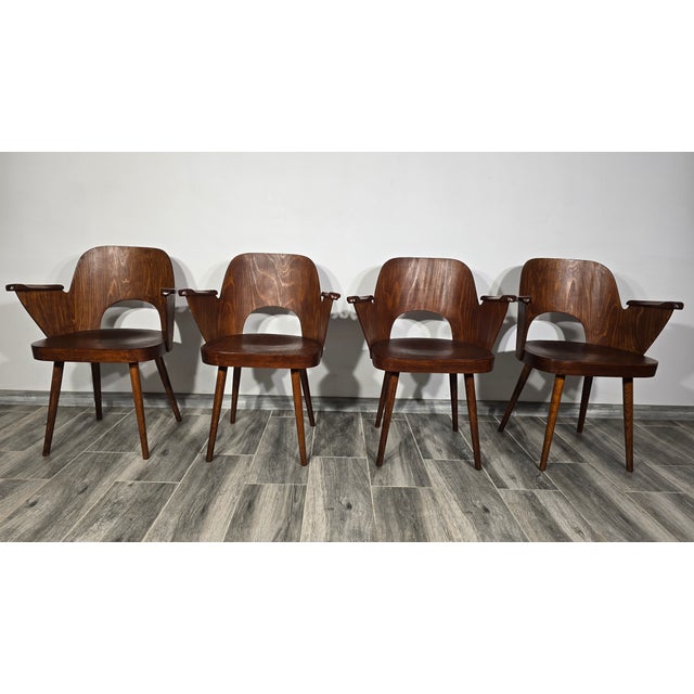 Brown Dining Chairs by Oswald Haerdtl for Ton, 1950s, Set of 4 For Sale - Image 8 of 18