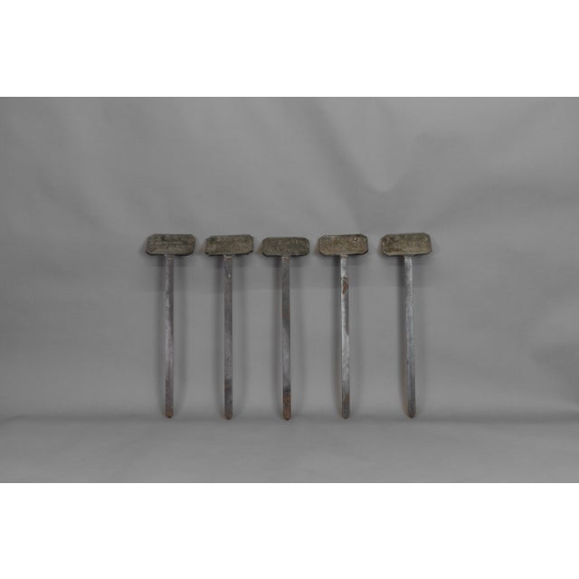 Antqiue Plant Labels, 1900, Set of 5 For Sale - Image 3 of 10