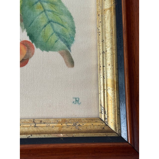 19th-Century American Folk Art Fruit Still Life Theorem Paintings on Velvet - A Matched Pair, Signed Jr For Sale - Image 9 of 12