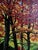 Paint Inspired by Steve Schaaf’s Autumn Bridge Reflections Original Oil Painting For Sale - Image 7 of 11