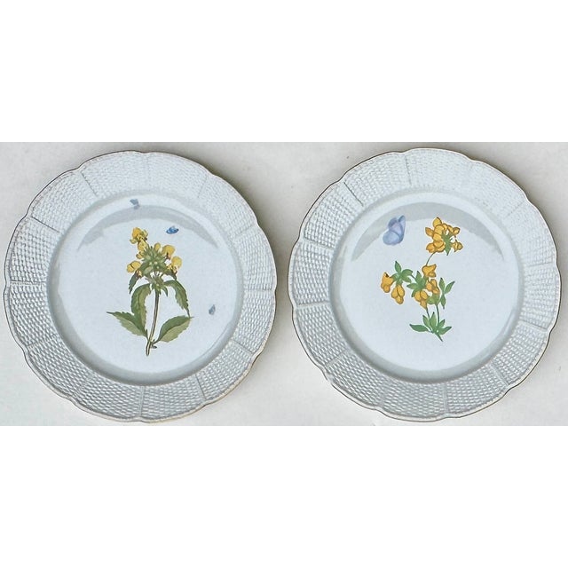 White Vintage Nymphenburg Porcelain Botanical Plates – Set of Four For Sale - Image 8 of 11