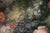 Dutch Artist, Still Life with Floral Spray, Oil Painting, Framed For Sale - Image 10 of 15