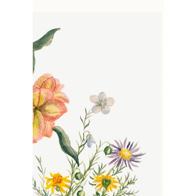 Paper Vintage Wildflowers Study, Botanical Art Print Reproduction, 20" X 30" For Sale - Image 7 of 9