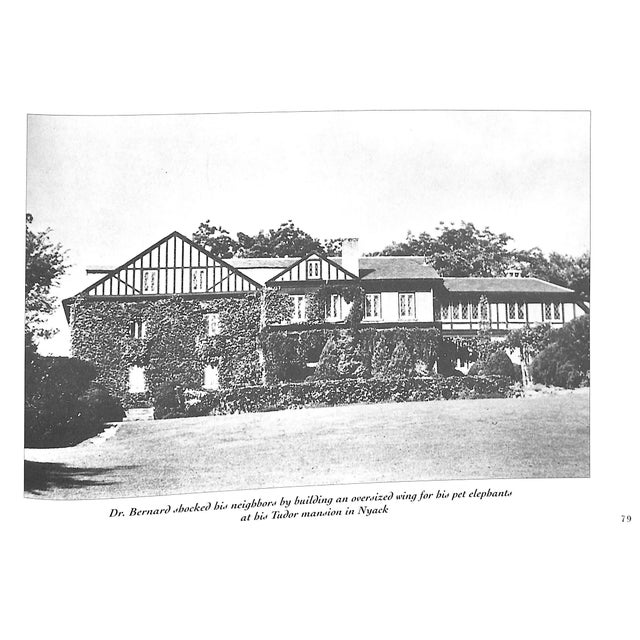 "Phantoms of the Hudson Valley" 1995 Randall, Monica For Sale In New York - Image 6 of 12