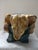 Green Vintage Majolica Style Leaf & Ladybug Ceramic Planter For Sale - Image 8 of 11
