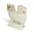 Staffordshire Edwardian English Staffordshire-Style Spaniel, Registered Design No. 542611, C. 1909 For Sale - Image 4 of 11