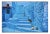 Tuul & Bruno Morandi, Morocco, Chefchaouen Town, The Blue City, Street Cat, Photographic Print, 2022, in Flawless...