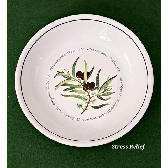 Williams-Sonoma Mediterranean Williams Sonoma Olea Europaea Wso20 Botanical Olive Pasta Bowls Portugal Retired - Set of 4 For Sale - Image 4 of 12