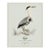 William Lewin 1789 Waterbirds Fine Art Gallery Board Print - The Blue Heron For Sale