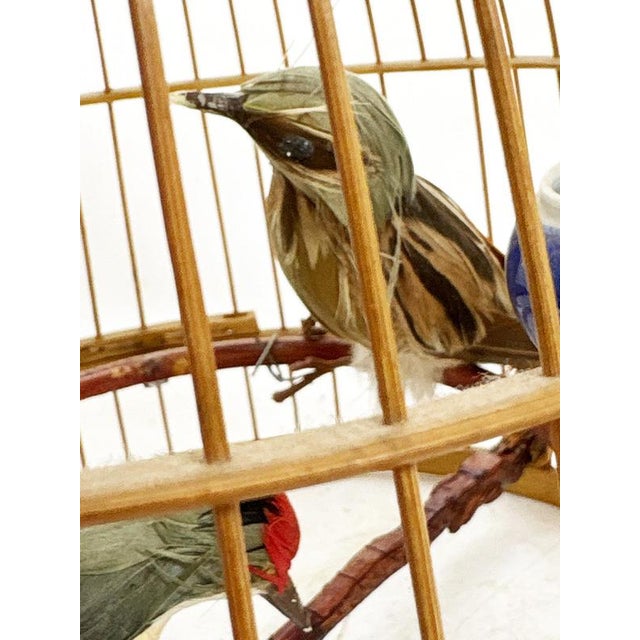 Vintage Chinese Birdcage, 1970, Set of 3 For Sale - Image 9 of 13