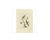 Sepp, Houttuyn & Nozeman, The Yellow Wagtail, 1829, Print For Sale - Image 4 of 6