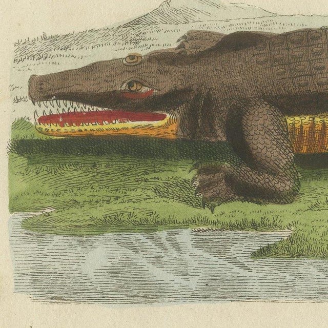 Bertuch, Crocodiles with an Egyptian Pyramid, 1805, Print For Sale - Image 9 of 12