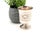 Guilloche Silver Chalice with Reliefs For Sale - Image 6 of 6