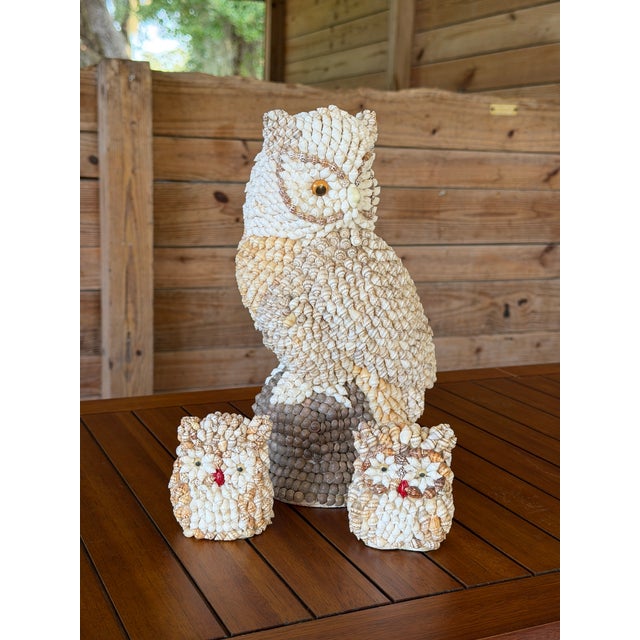 Vintage Seashell Encrusted Owl Sculpture For Sale - Image 11 of 12