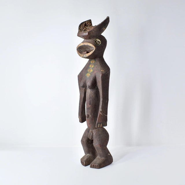 The Mama can be found on the plateaus of northern Nigeria, stretching from the state of Ebbi to the border of Cameroon....