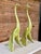 Mid-Century Modern Pair of Mid-Century Ceramic Peacock Figurines by Anthony Freeman McFarlin For Sale - Image 3 of 12