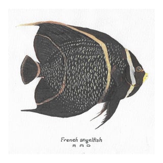 1950s French Angelfish Painting For Sale