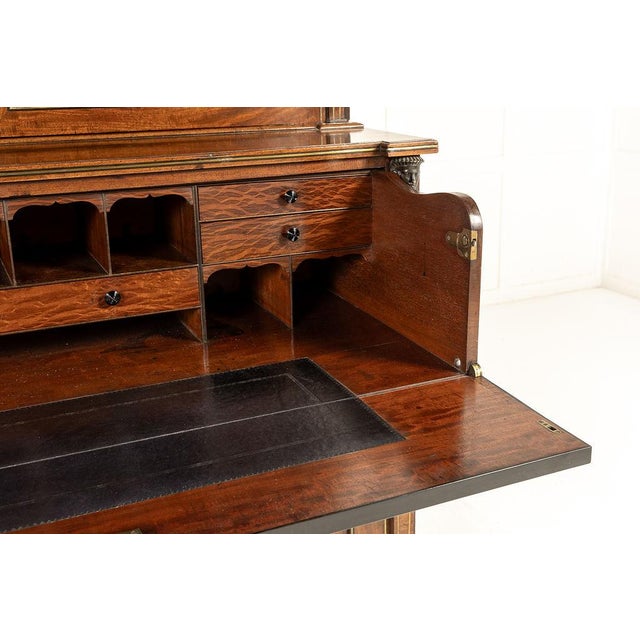 Brown English Regency Bookcase in Mahogany For Sale - Image 8 of 18